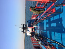 Competities HSV Alfheim